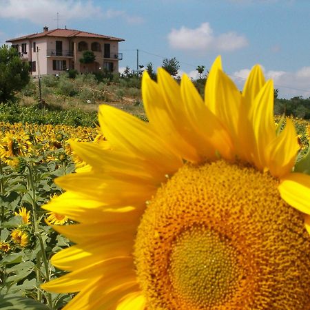 B&B Il Girasole - Rooms & House In Country - 1500 Meters From The City Montepulciano Stazione Exterior foto