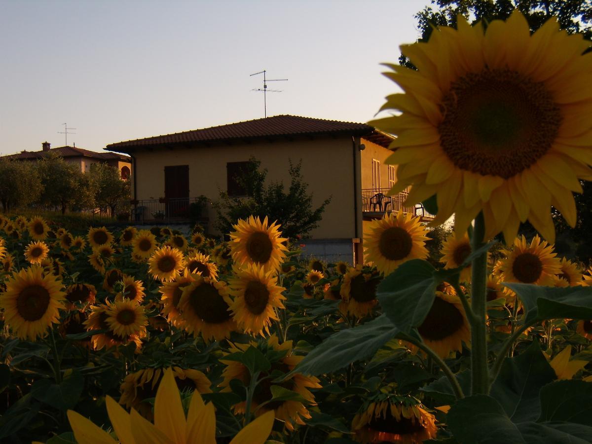 B&B Il Girasole - Rooms & House In Country - 1500 Meters From The City Montepulciano Stazione Exterior foto